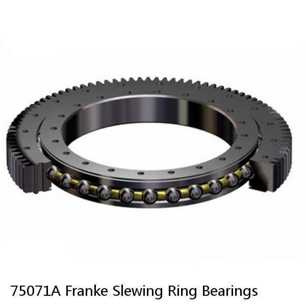 75071A Franke Slewing Ring Bearings