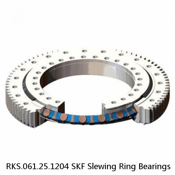 RKS.061.25.1204 SKF Slewing Ring Bearings