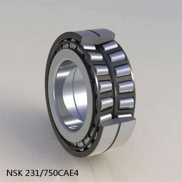 231/750CAE4 NSK Spherical Roller Bearing