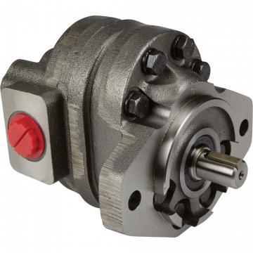 DIN hydraulic gear pump gear pumps