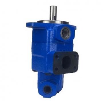 V10 Single Hydraulic Vane Pumps (vickers, Shertech used for Industrial Equipment (ring size 2))