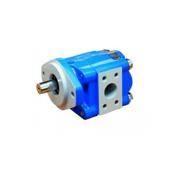 Magnetic Drive Power Gear Pump