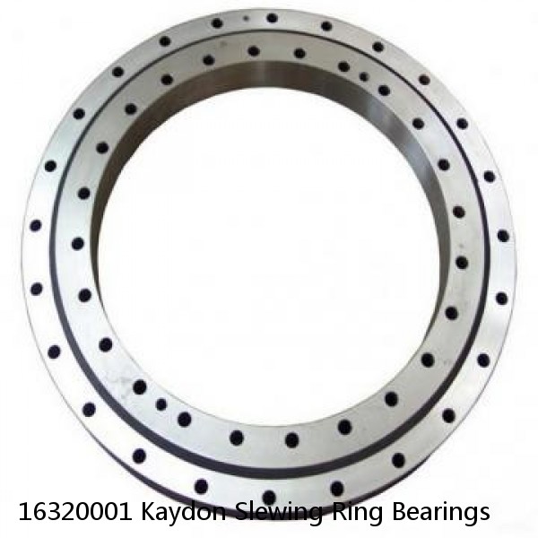 16320001 Kaydon Slewing Ring Bearings