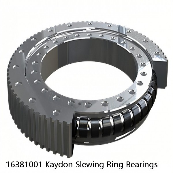 16381001 Kaydon Slewing Ring Bearings