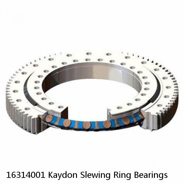 16314001 Kaydon Slewing Ring Bearings