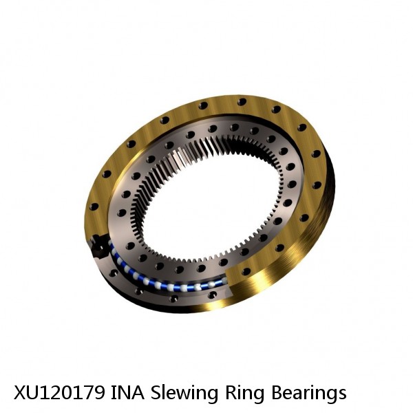 XU120179 INA Slewing Ring Bearings