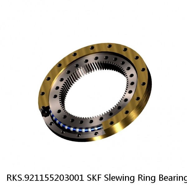 RKS.921155203001 SKF Slewing Ring Bearings