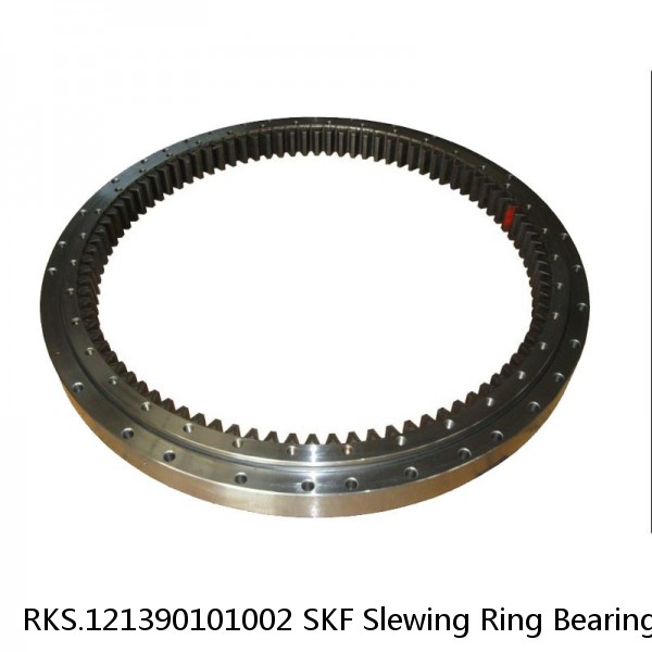 RKS.121390101002 SKF Slewing Ring Bearings