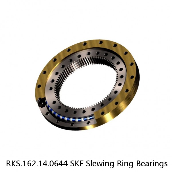 RKS.162.14.0644 SKF Slewing Ring Bearings