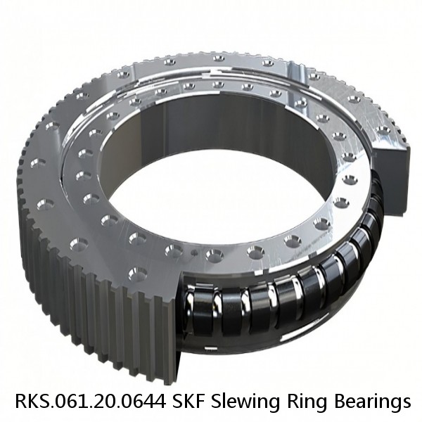 RKS.061.20.0644 SKF Slewing Ring Bearings