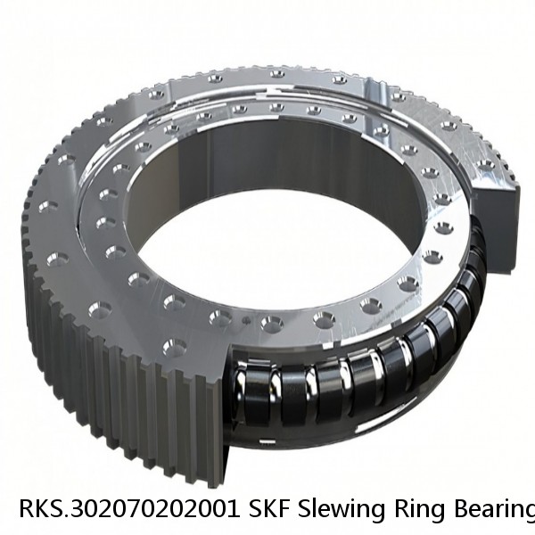 RKS.302070202001 SKF Slewing Ring Bearings