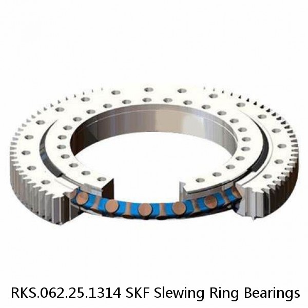 RKS.062.25.1314 SKF Slewing Ring Bearings