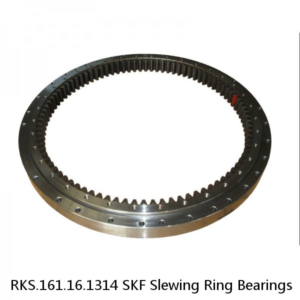 RKS.161.16.1314 SKF Slewing Ring Bearings